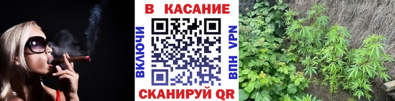 Наркошоп купить ЭКСТАЗИ  АМФЕТАМИН  Каннабис  МЕФ  COCAIN  МЕТАМФЕТАМИН  Дмитров