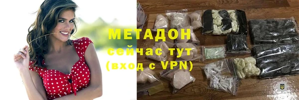 стаф Инта