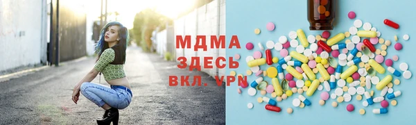 стаф Инта