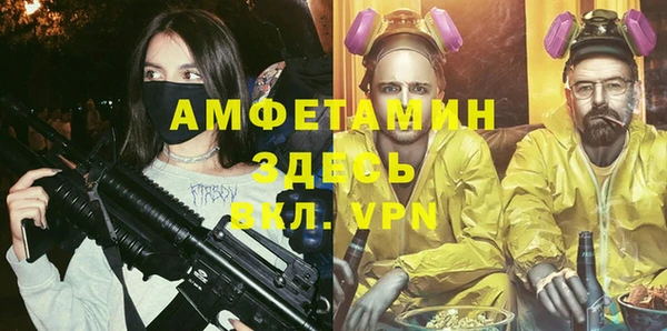 стаф Инта