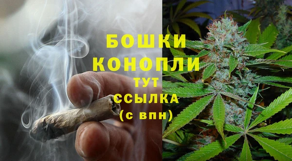 прущая мука Инсар
