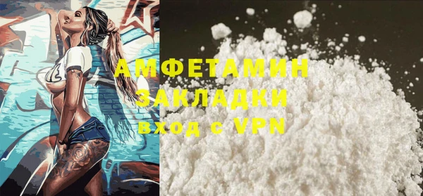 стаф Инта