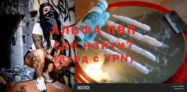 стаф Инта