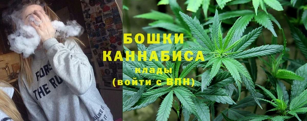 дживик Иннополис