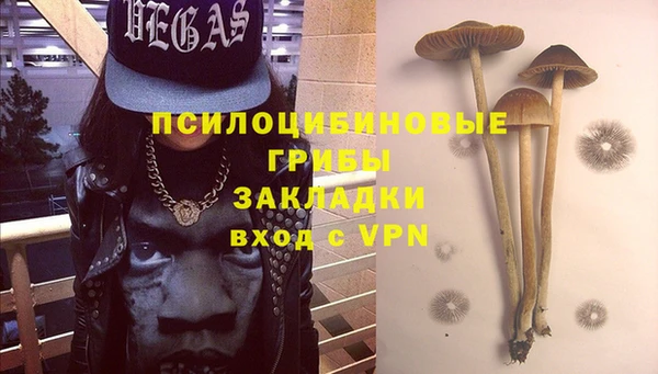 прущая мука Инсар