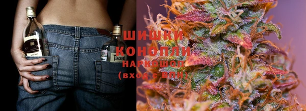 стаф Инта