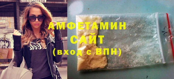 стаф Инта