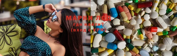 прущая мука Инсар