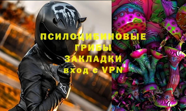 стаф Инта